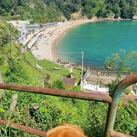 Dalla Raffy * Специя